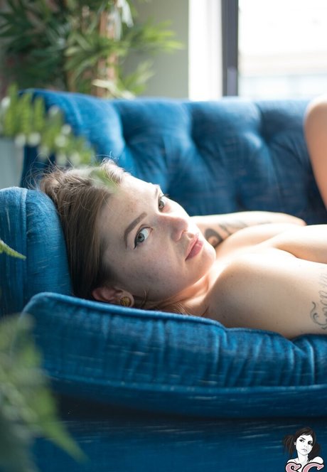 ventilateurs à brancher uniquement xxx parfait archive