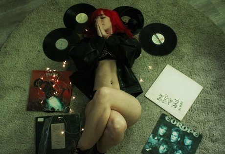 chaton potelé uniquementfans meilleur parfait photos