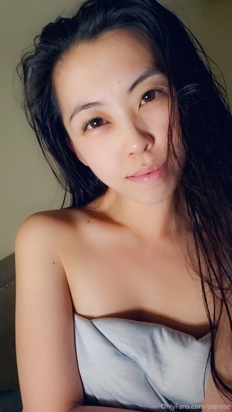 pajrose étoile de l'art galerie