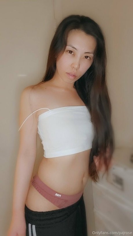 pajrose étoile hd image