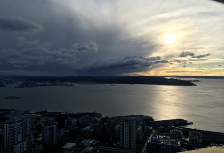 Abbey Jeffrey belle star du porno img