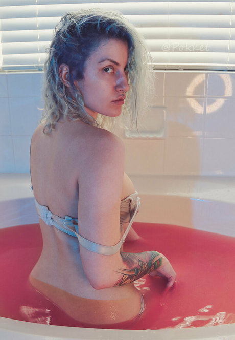 pokket official étoile adulte des photos