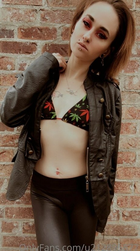 your fantasy527ca haut étoile archive