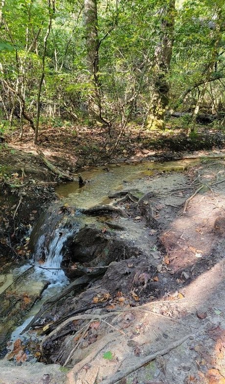 christymack actrice artistique collection