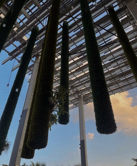 Leslie Sanchez sexe star image