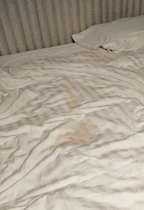 mr nomad étoile nue galeries