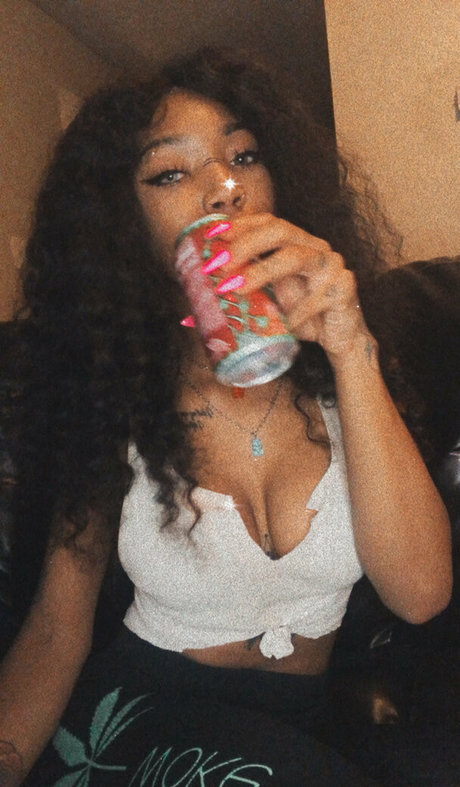 spoiledbrincess modèle artistique collection