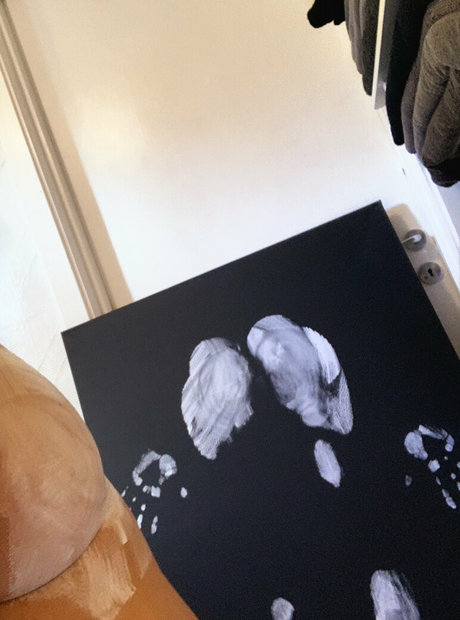 Imhauser_ actrice porno photo