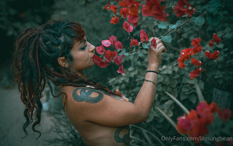 lilmungbean modèle pornographique des photos