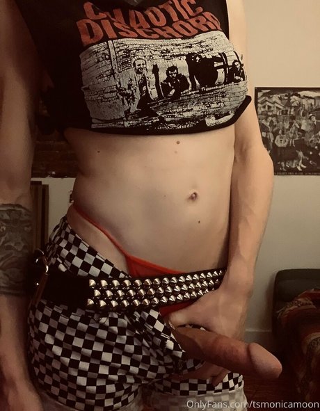 tsmonicamoon haut de star du porno image