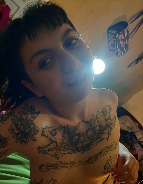 gatitajavilun beau modèle collection