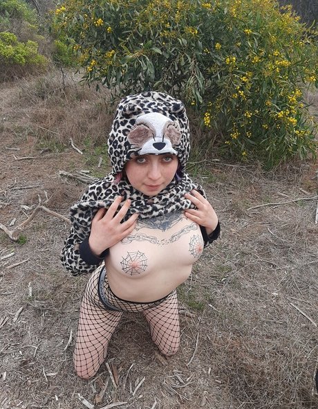 gatitajavilun modèle sympa photos