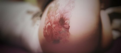 tvflavia étoile de haute qualité archive