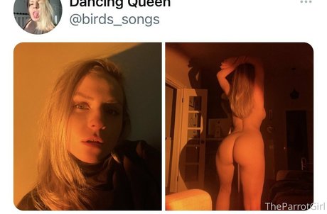 freeparrot star du porno en haute qualité galeries