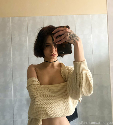 arina gpo modèle gratuit image