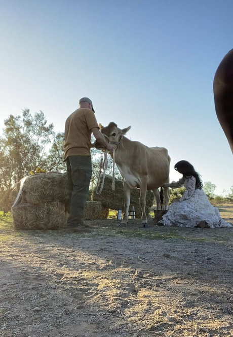 Reedsuicide haut de star du porno archive