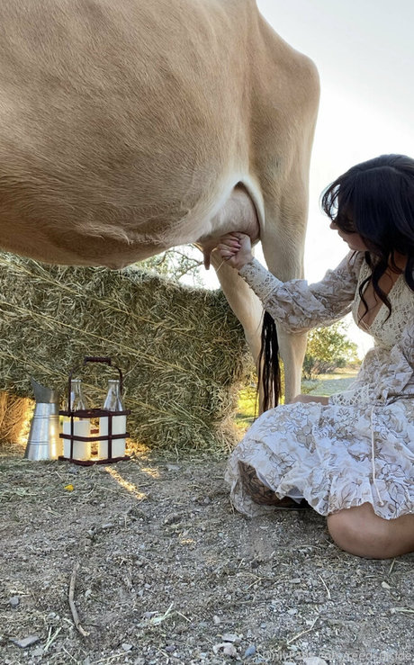 Reedsuicide actrice pornographique photo