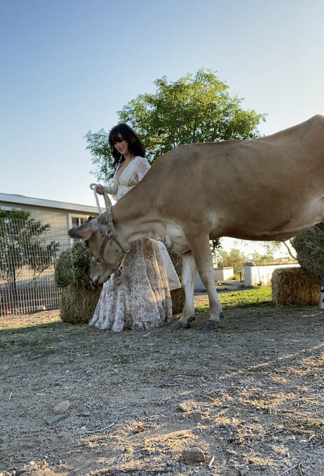 Reedsuicide Profilfoto