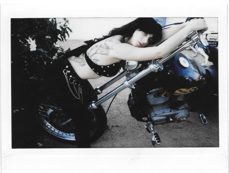 Reedsuicide modèle gratuit galerie