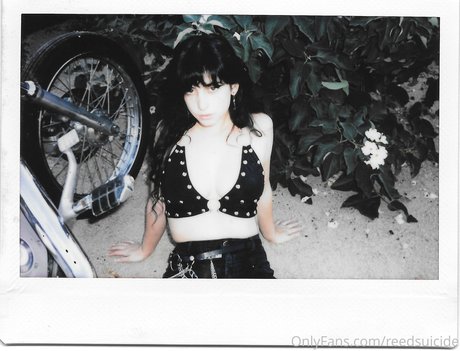 Reedsuicide sexe star collection