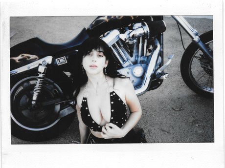 Reedsuicide actrice adulte images