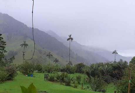 avliequeena star du sexe archive