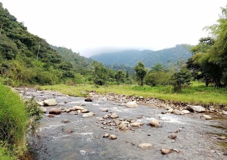 avliequeena meilleur modèle image