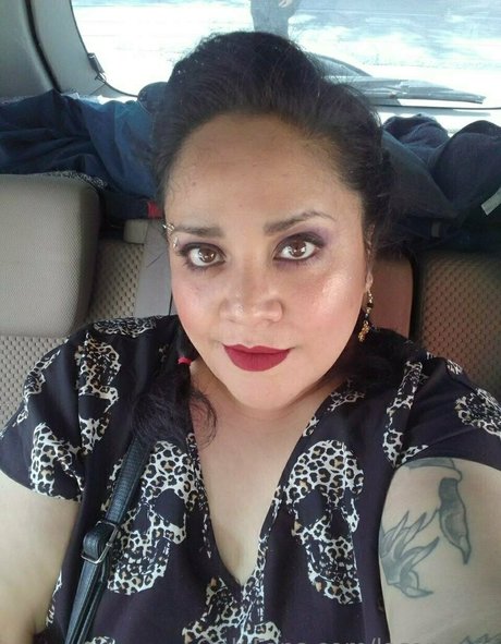 lasanders étoile adulte collection