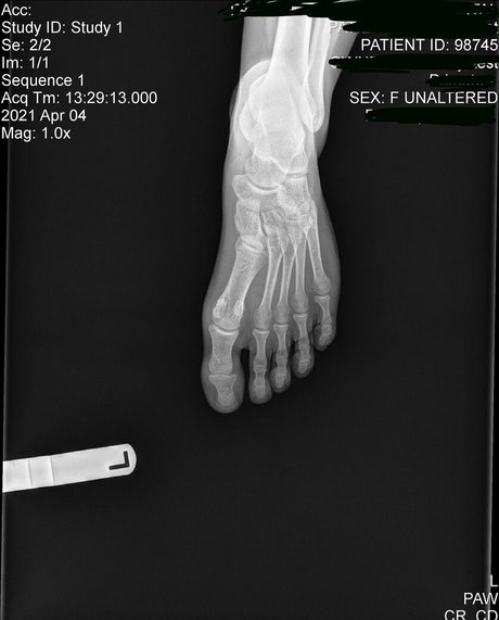 fans trans asiatiques uniquement haute qualité gratuit galerie