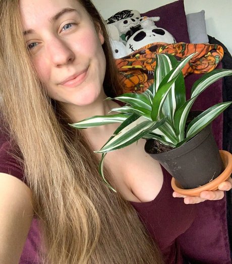 Casey The Gamer nus de stars du porno galeries