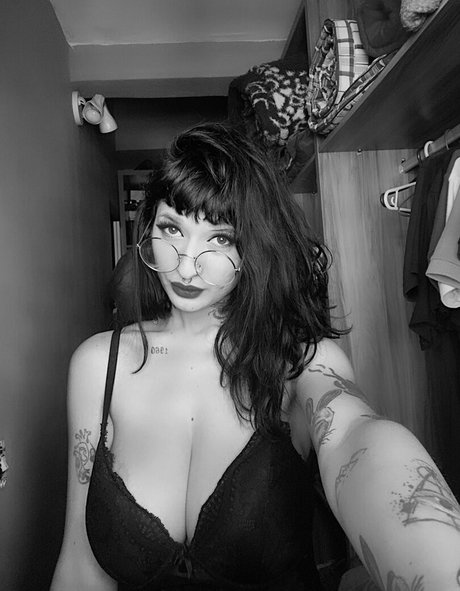 Wila Ribeiro étoile de l'art image