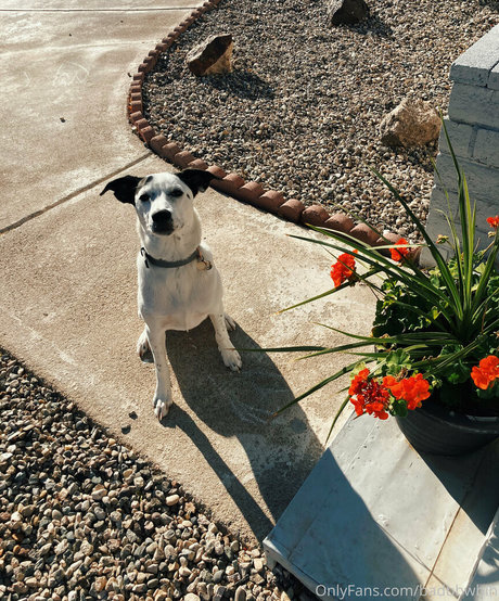 doigté ébène onlyfans sympa parfait galerie