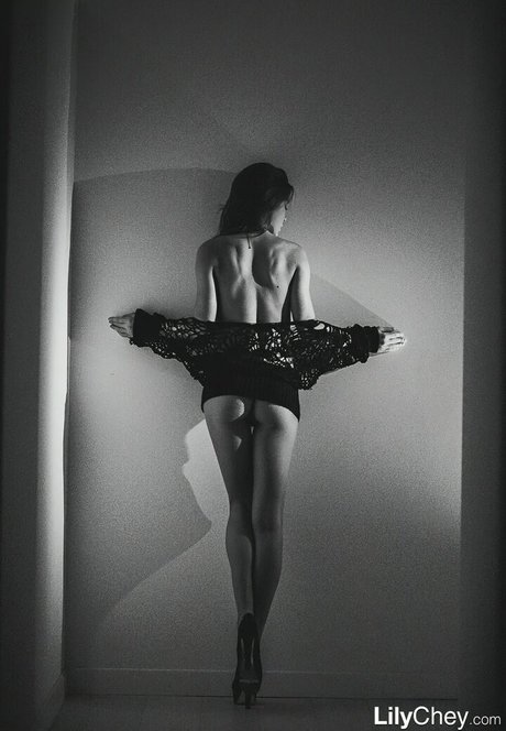 Guerlain haut modèle des photos