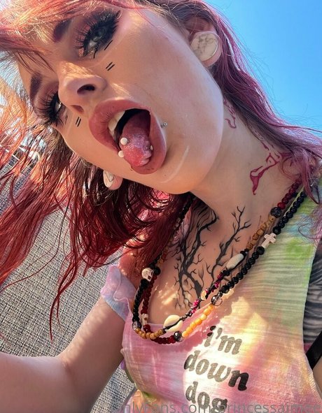 princessaimee art star du porno des photos