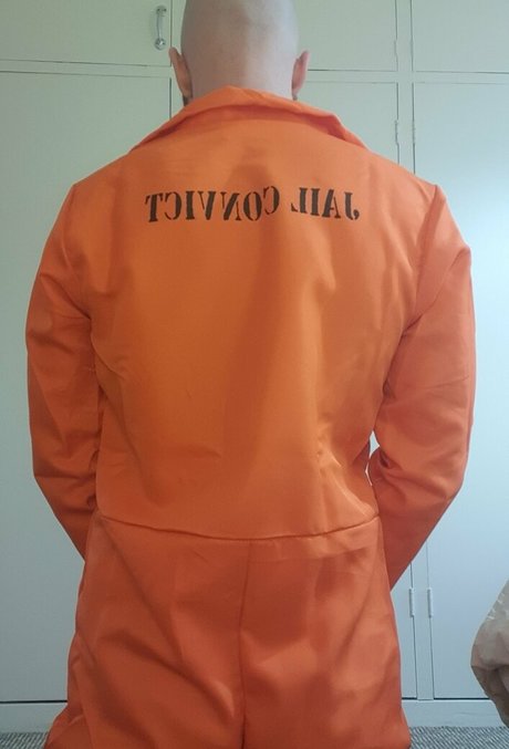 alley cat man joli modèle archive