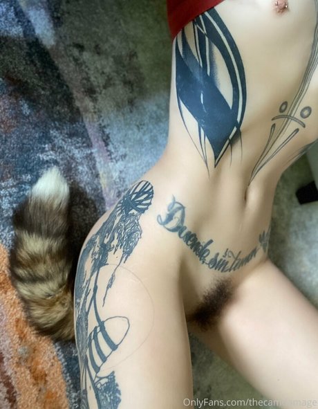 thecamdamage actrice parfaite collection