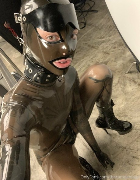 thecamdamage meilleure étoile des photos