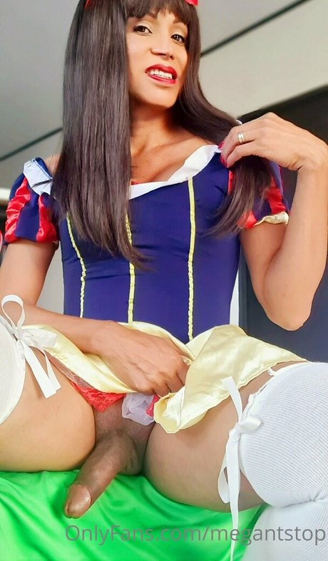 megantstop star du porno parfaite collection