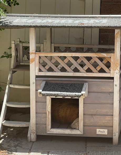 clubstarfall meilleure actrice galeries