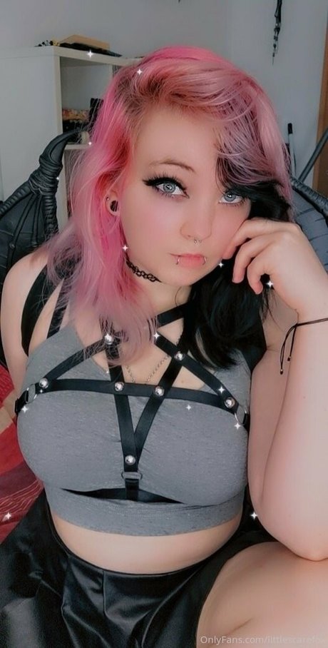 littlescarefox jolie star du porno photo