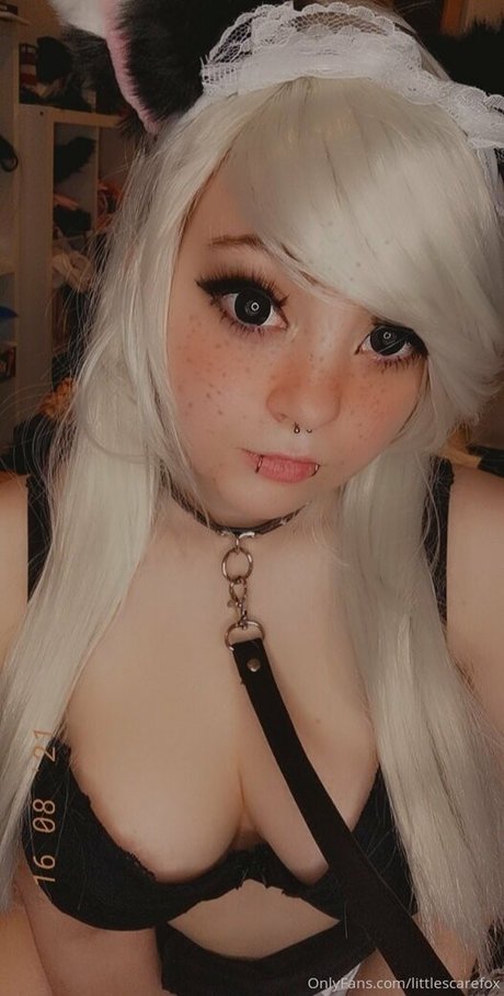 littlescarefox nus star du porno galeries