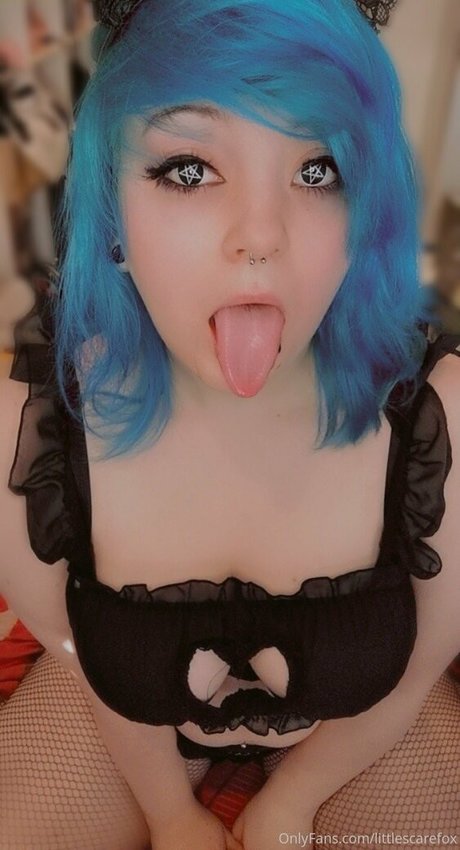 littlescarefox sexe star du porno collection