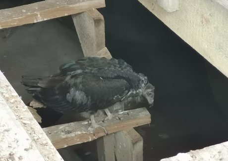 épais onlyfans porno artistique galerie