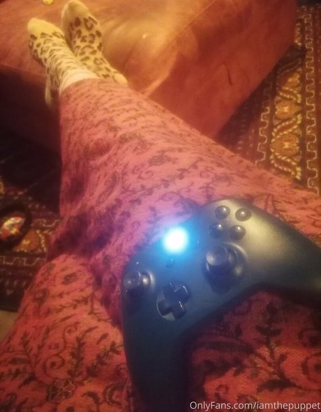 iamthepuppet art de star du porno galeries