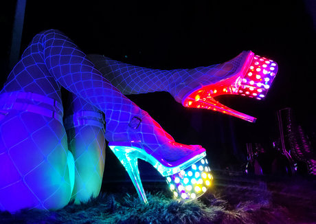 lovingpet étoile de l'art photo