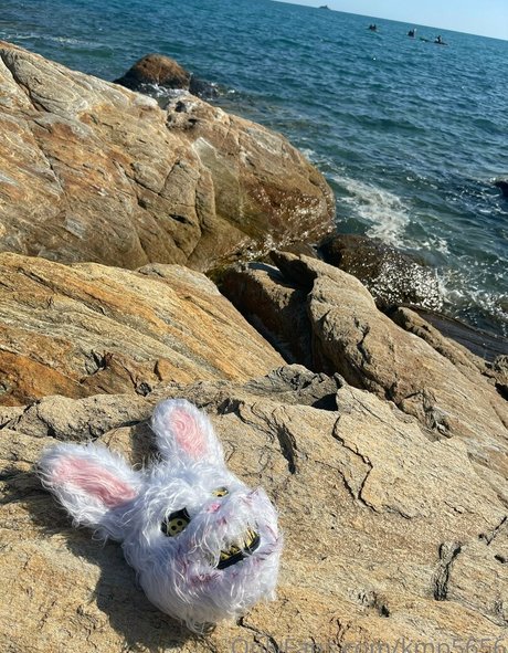 kmp5656 nus star du porno photos