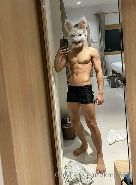 kmp5656 modèle parfait collection