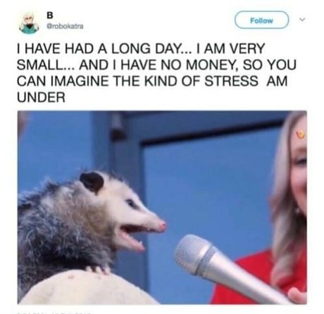 clumsiersquirrel belle étoile image