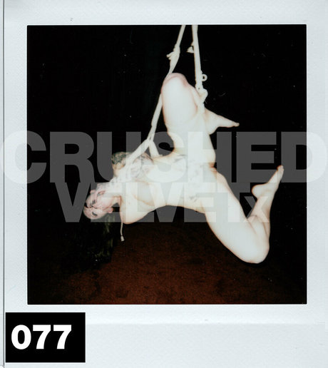 crushedvelvetx étoile parfaite img