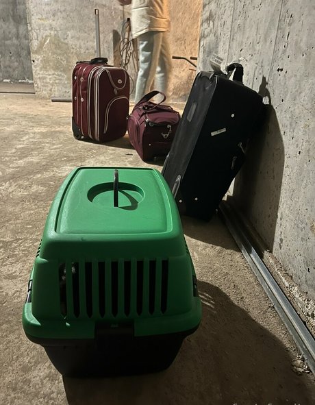 Fenix Fatalist star érotique des photos